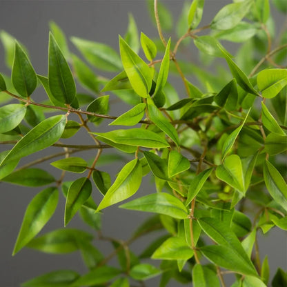 Artificial Nandina Plant Branches