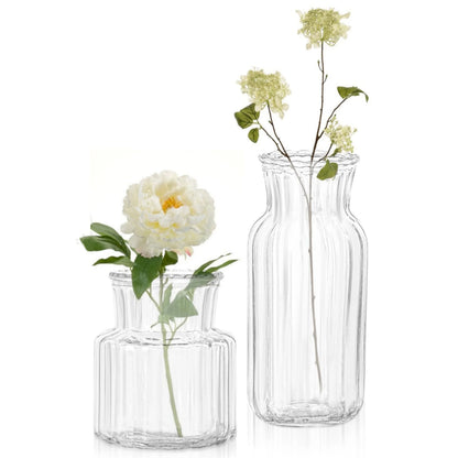 Creative Transparent Glass Vases