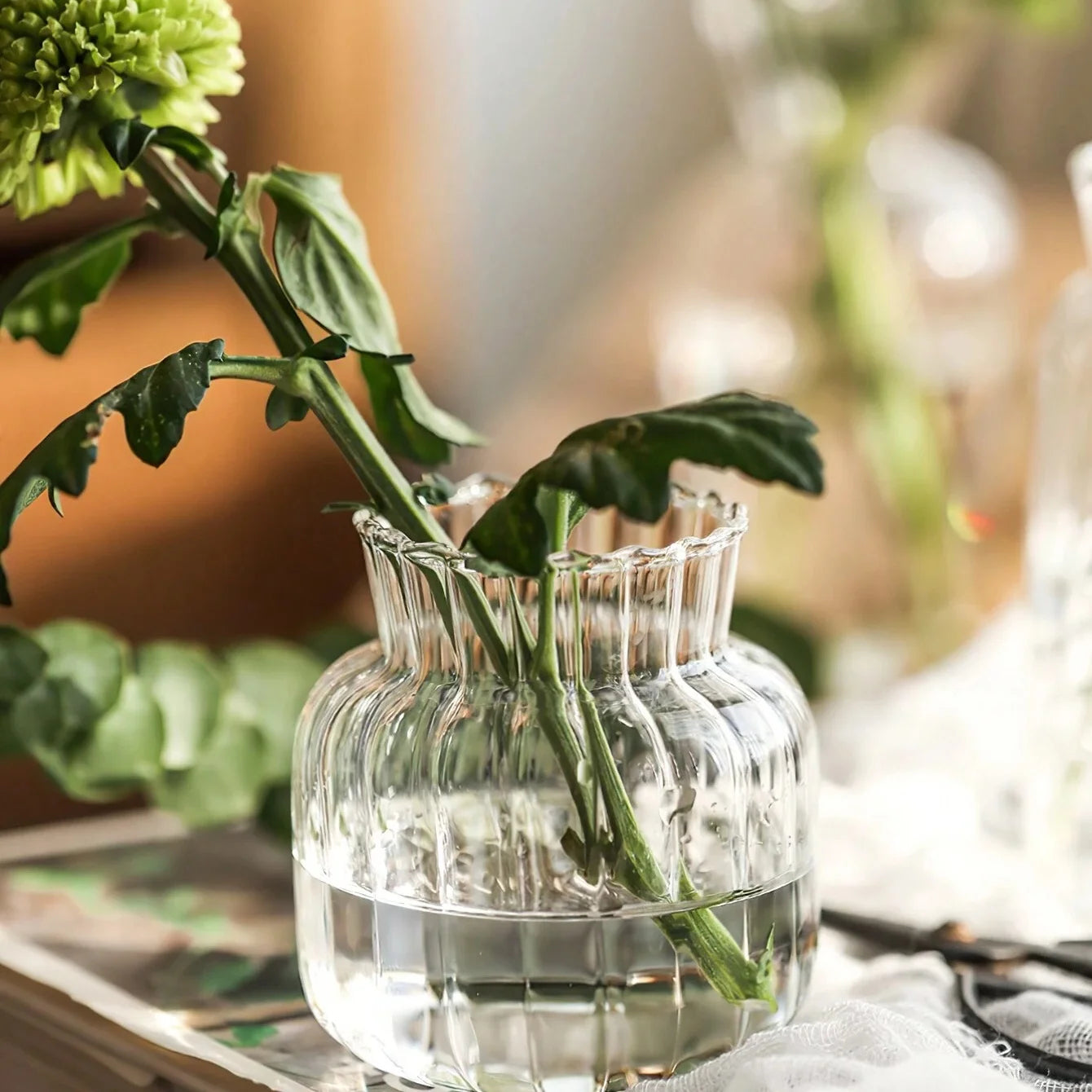 Creative Transparent Glass Vases