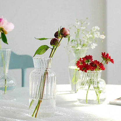 Creative Transparent Glass Vases