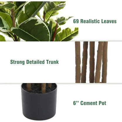 Ficus Tree With Pot