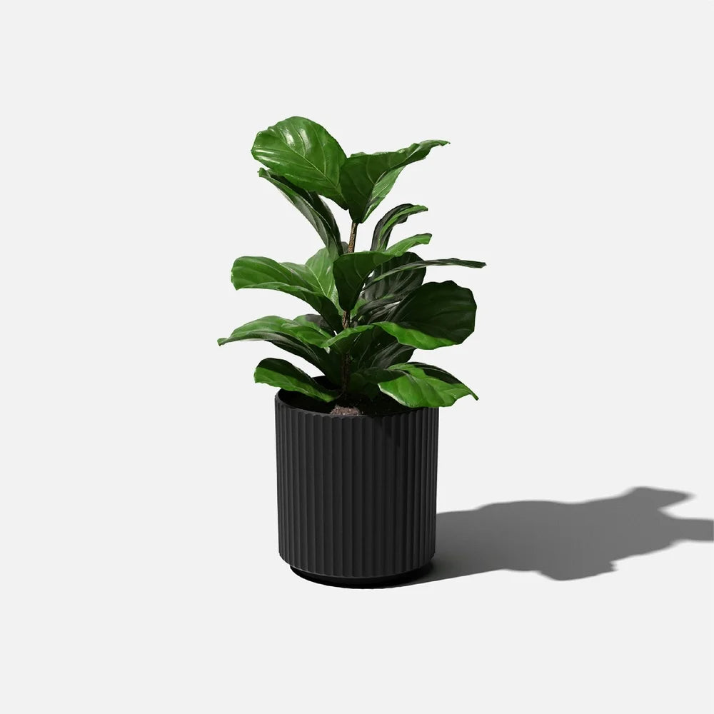 Stone-Plastic Ripple Planter