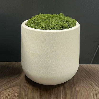 Ceramic Planter Pot With Imitation moss
