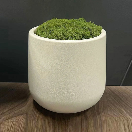 Ceramic Planter Pot With Imitation moss