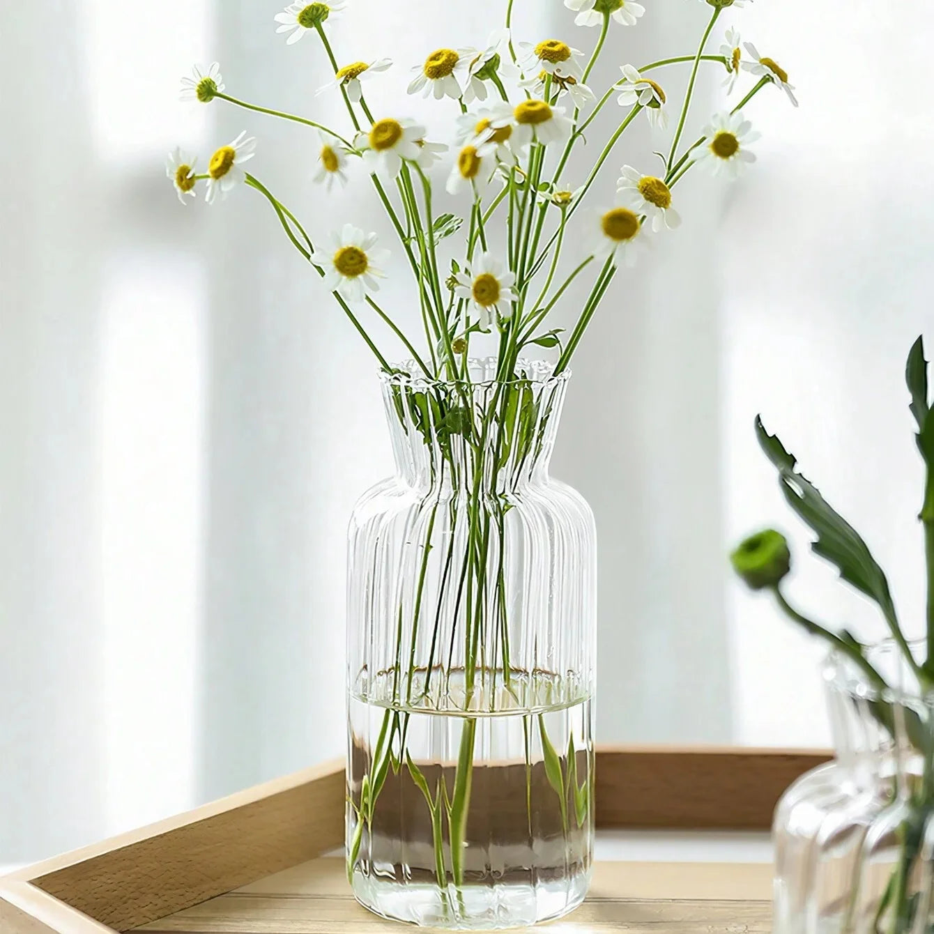 Creative Transparent Glass Vases