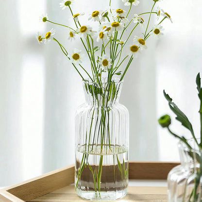 Creative Transparent Glass Vases